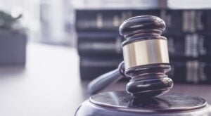 Dog Bite Injury Lawyer in Baltimore County, MD 