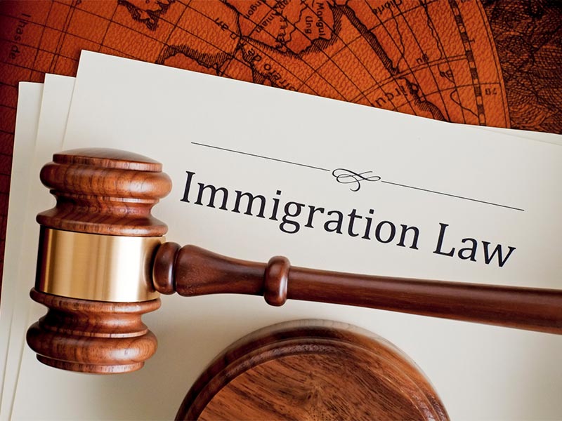 Immigration Law